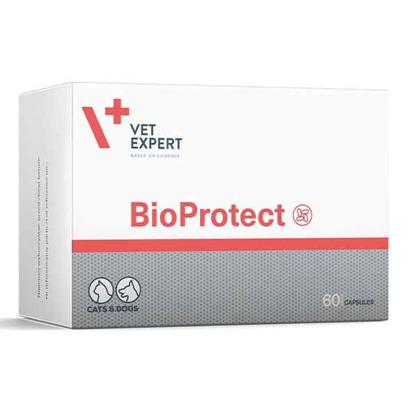 VET EXPERT BioProtect Supliment Nutritiv Probiotic Pentru Caini si Pisici, 60 capsule