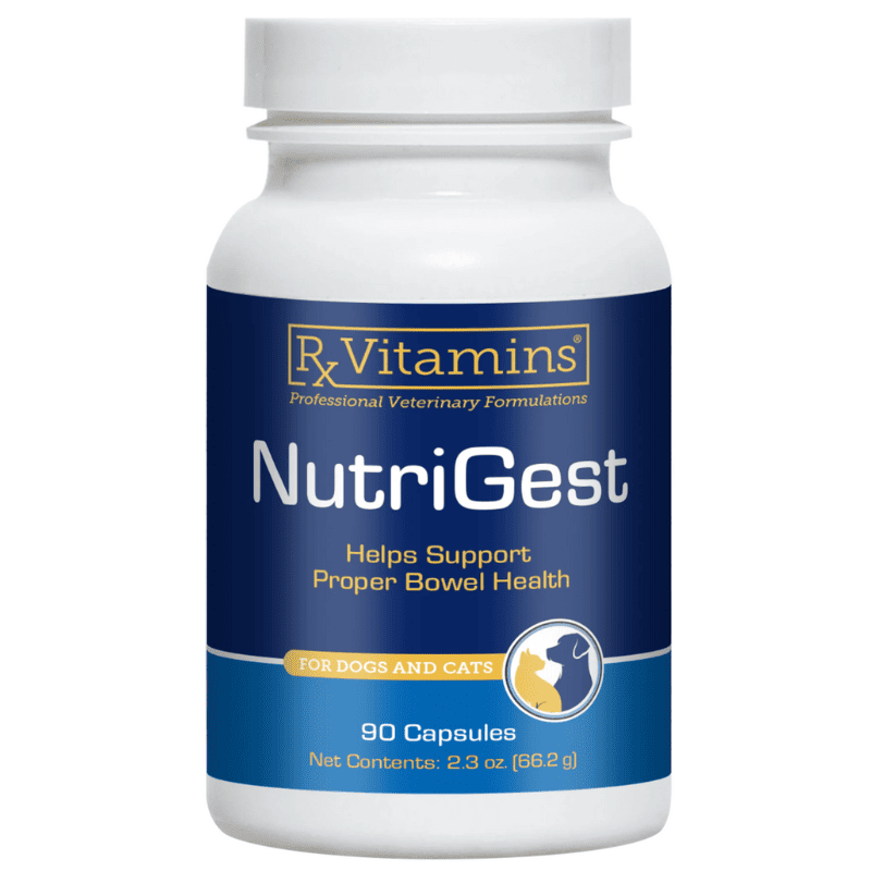 RX VITAMINS NutriGest 90 Capsule | Supliment pentru Sanatatea Digestiva si Echilibrul Intestinal la Caini si Pisici