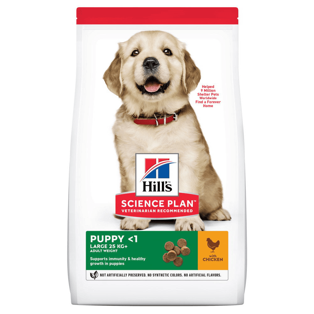 HILL'S Science Plan Large Breed Puppy cu Pui, 2.5 kg – Hrana Uscata pentru Catei de Talie Mare, cu Calciu si DHA pentru Oase, Creier si Ochi