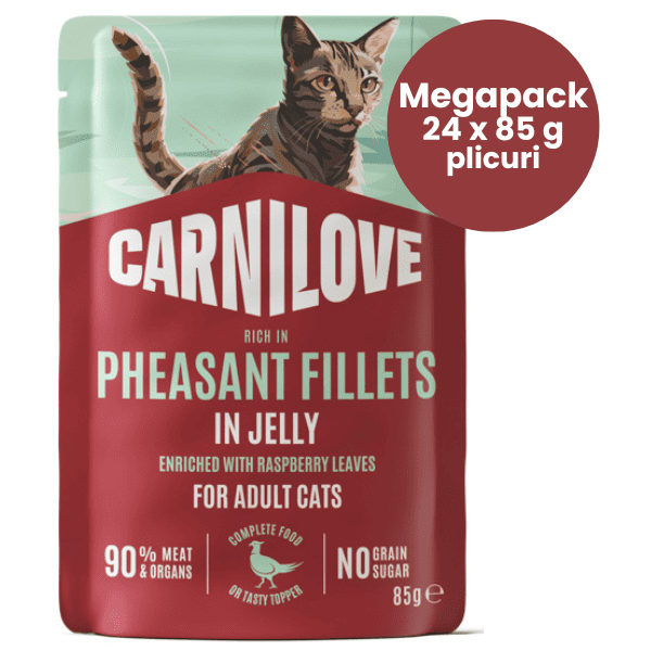 CARNILOVE Cat cu Fazan si Frunze de Zmeura in Aspic Megapack 24x85 g | Hrană Umedă Completă Fără Cereale pentru Pisici Adulte