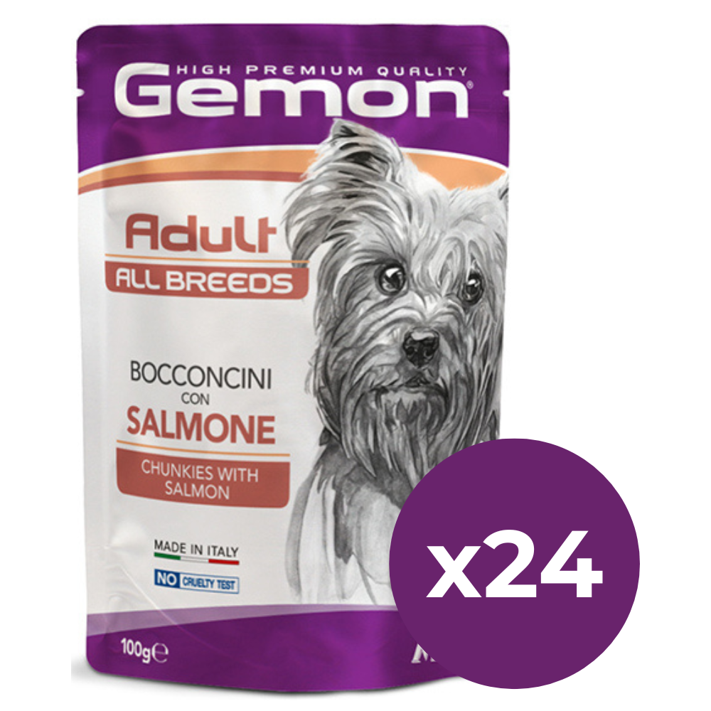 GEMON All Breeds Adult Dog cu Somon – Set Plicuri Hrană Umedă pentru Câini Adulți, (bucăți în aspic), 24x100g