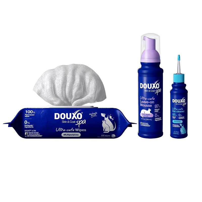 DOUXO SPA Complete Cat Pack | Rutina Completa pentru Blana si Igiena Pisicilor | Ingrijire Completa si Delicata, fara Stres, pentru Pisica ta