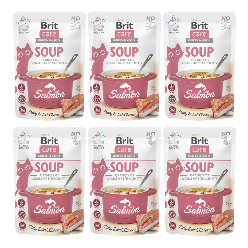 BRIT CARE Cat Soup, cu Somon, Set Plicuri Hrana Umeda Pentru Pisici (supă cremoasă), 6x75g