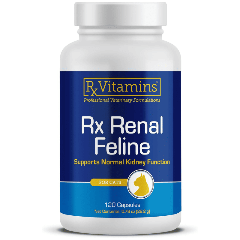 Rx VITAMINS Renal Feline 120 capsule | Supliment pentru Sustinerea Functiei Renale la Pisici