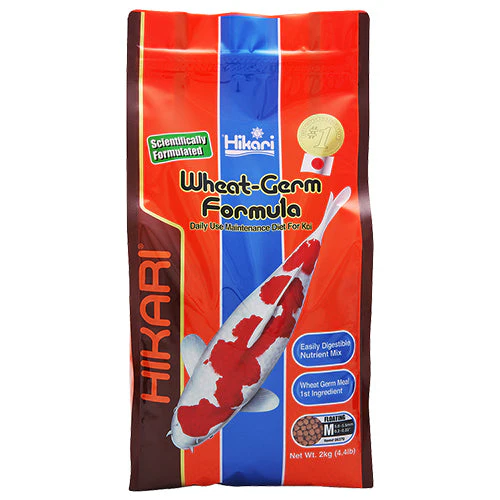 HIKARI Wheat-Germ Formula Medium, Hrana cu Germeni de Grau Pentru Crapi Koi si Alti Pesti de Iaz, 2kg