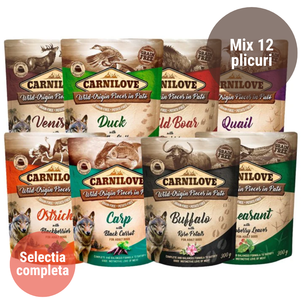 CARNILOVE Dog Pouch Mix Diversitate 12×300 g – Hrană Umedă Fără Cereale pentru Câini, Selecția Completă de Rețete Naturale cu Proteine din Ingrediente Atent Selecționate