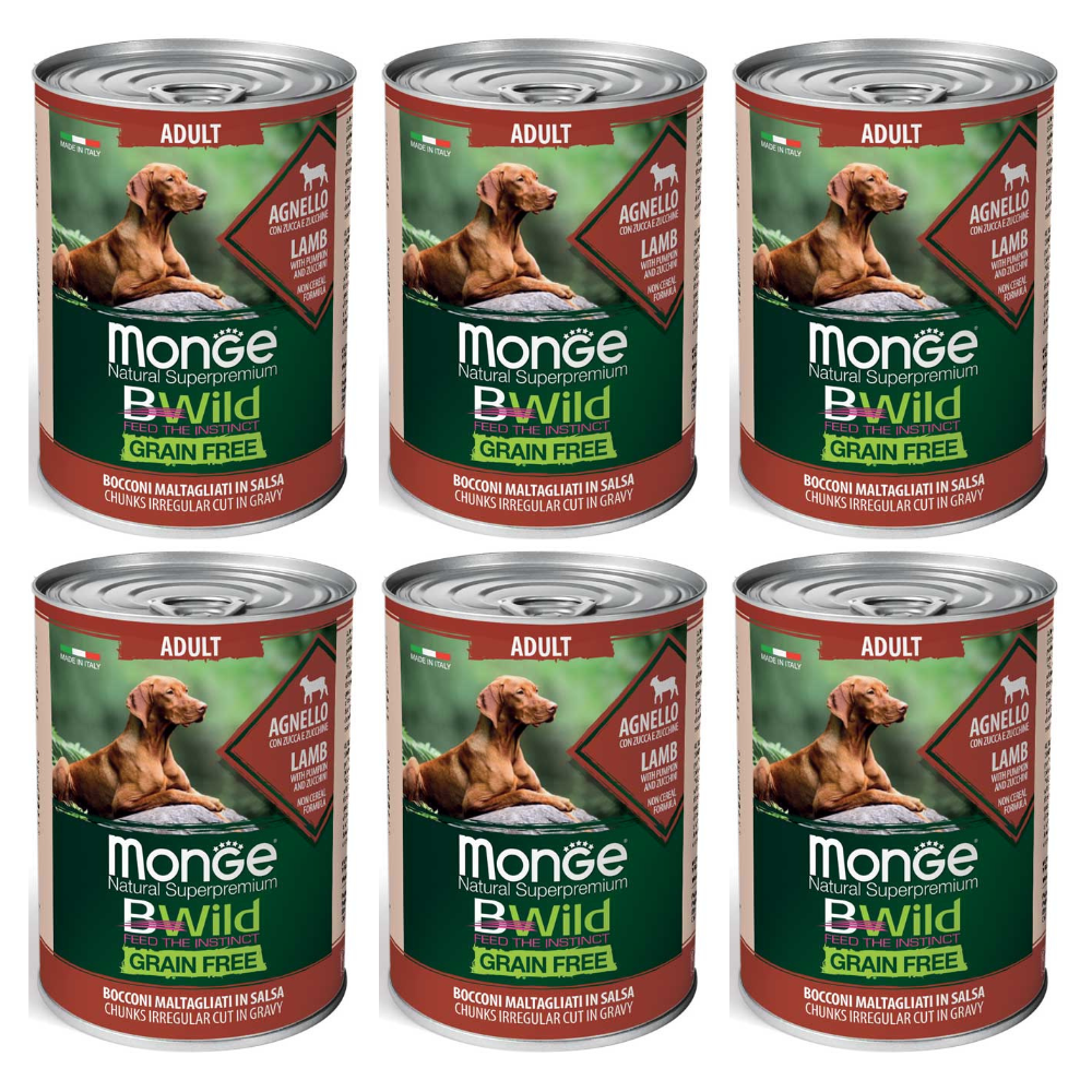 MONGE BWild Adult Grain Free, cu Miel, Dovleac și Dovlecel – Set Conserve  Hrană Umedă Fără Cereale pentru Caini (bucatele in sos), 6x400g