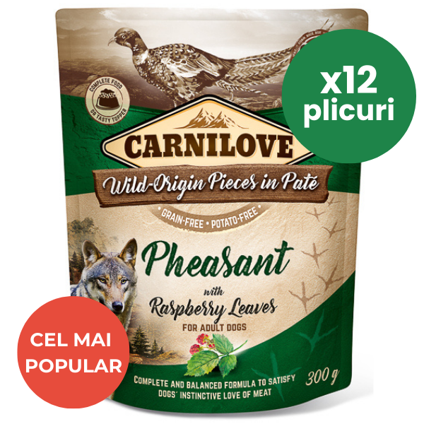 CARNILOVE Dog Pouch Pate Fazan cu Frunze de Zmeur Set 12x300 g – Hrană Umedă Fără Cereale pentru Câini, Bogată în Proteine Sălbatice și Antioxidanți Naturali