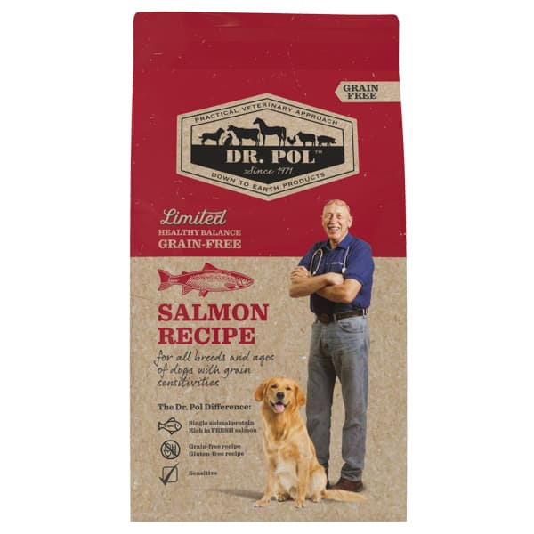 DR. POL Dog Grain Free cu Somon 2 kg | Hrana Uscata Monoproteica fara Cereale pentru Caini Adulti