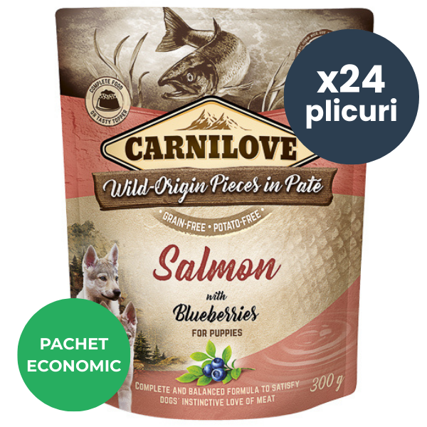 CARNILOVE Dog Pouch Pate Somon cu Afine pentru Pui de Câine Set 24x300 g – Hrană Umedă Fără Cereale, Alegerea Ideală pentru o Creștere Sănătoasă