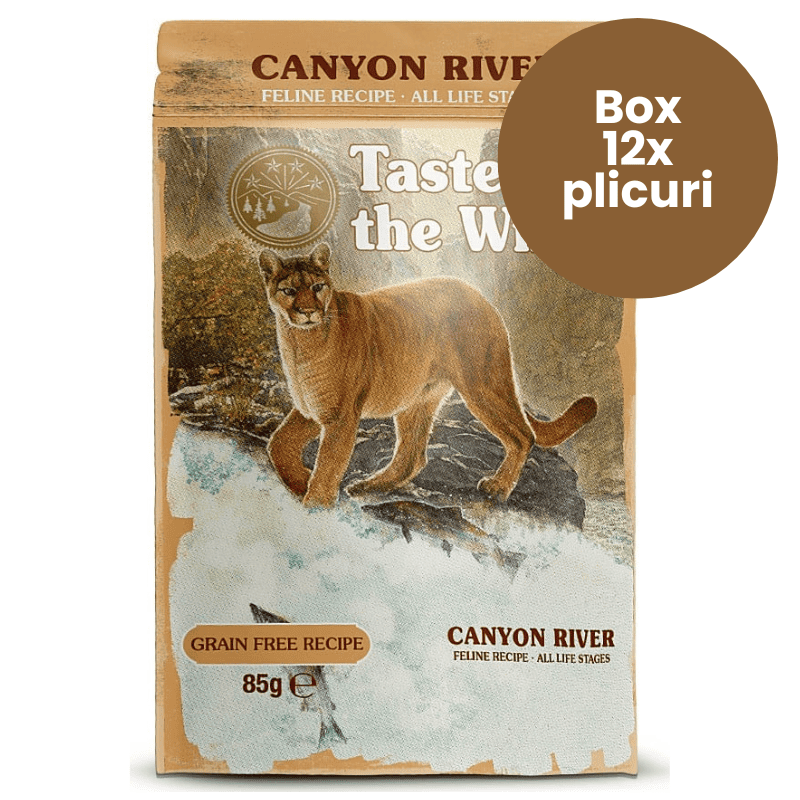 TASTE of the WILD Cat Pouch All Life Stages Canyon River Box 12x85 g | Hrana Umeda Fara Cereale pentru Pisici de Toate Varstele | Bucati cu Pastrav, Pui si Curcan in Sos