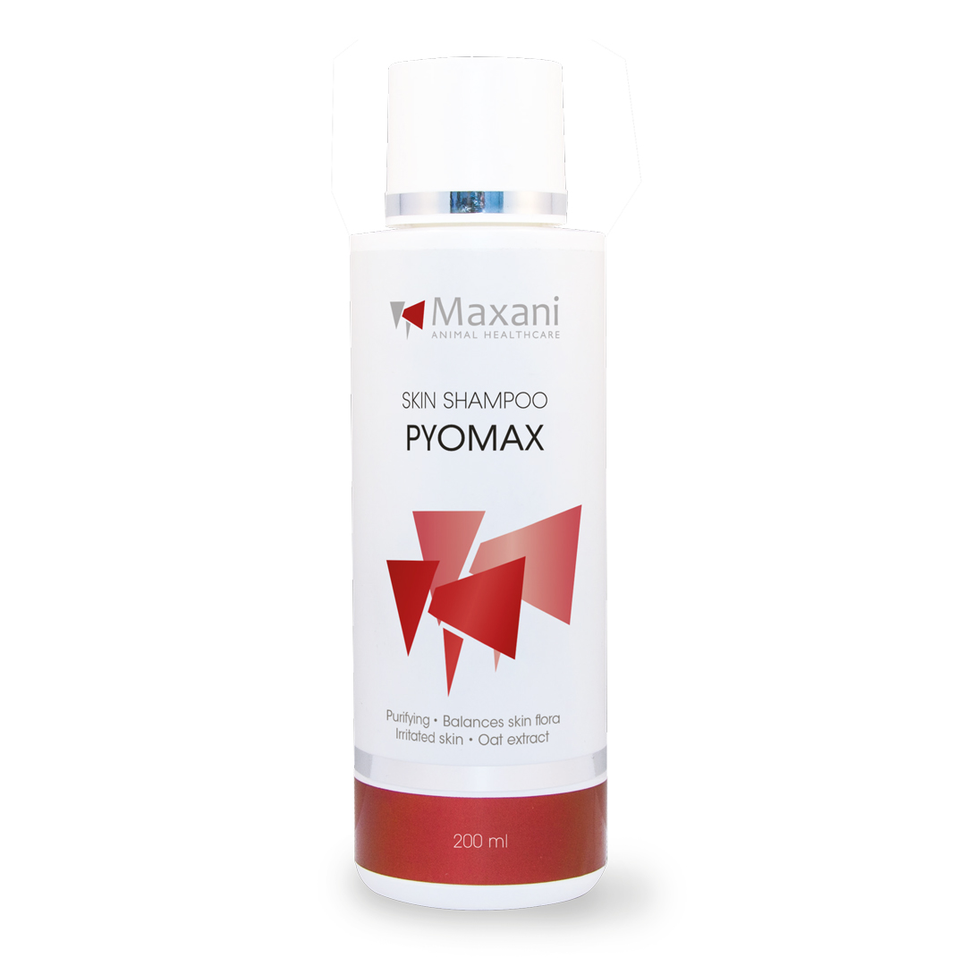 MAXANI PyoMax Skin Shampoo 200 ml - Sampon Dermatologic Antiseptic cu Clorhexidina pentru Piodermita si Infectii Fungice la Caini, Pisici si Cai