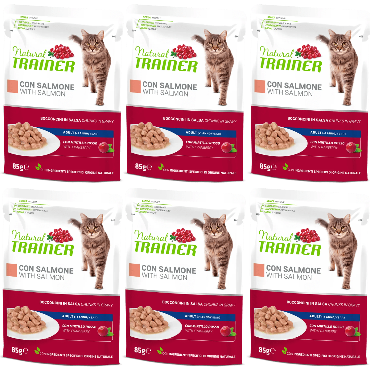 NATURAL TRAINER Cat, cu Somon, Set Plicuri Hrana Umeda pentru Pisici Adulte, 6x85g