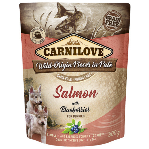 CARNILOVE Dog Pouch Pate Somon cu Afine pentru Pui de Catel 300 g – Hrană Umedă Fără Cereale, Creștere Armonioasă și Imunitate Puternică