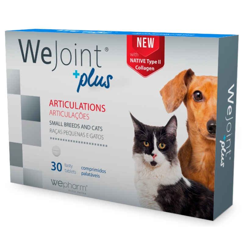WePharm WeJoint Plus Small Breeds & Cats 30 comprimate – Supliment cu Colagen Tip II pentru Articulatii Sanatoase la Caini de Talie Mica si Pisici