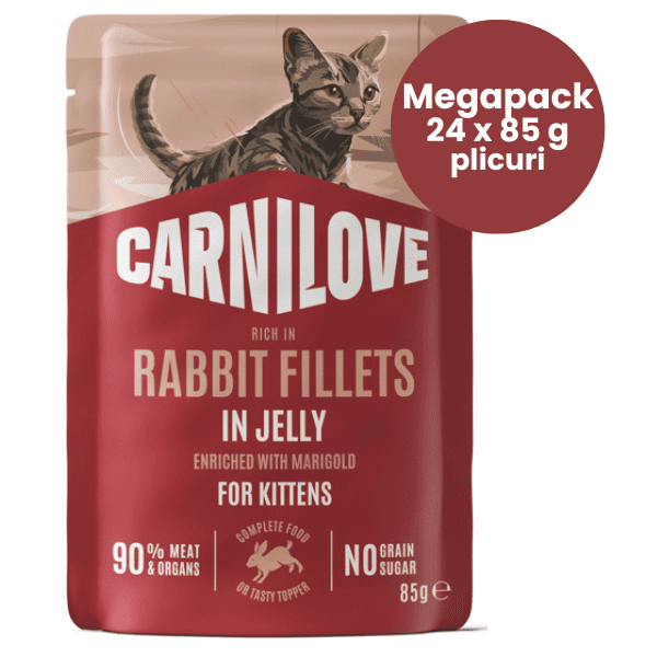 Carnilove Kitten cu Iepure și Gălbenele in Aspic Megapack 24x85 g | Hrană Umedă Completă Fără Cereale pentru Pui de Pisică
