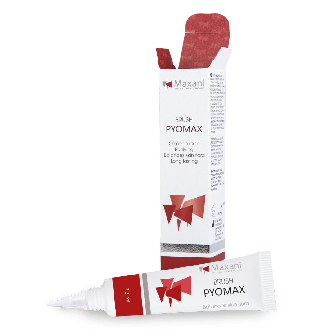 Maxani PyoMax Brush 12 ml – Perie Dermatologica cu Clorhexidina pentru Curatarea Unghiilor, Cuticulelor si Pliurilor Cutanate la Animale de Companie