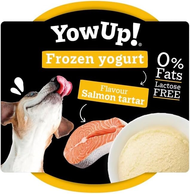 YOWUP! Frozen Yogurt cu Tartar de Somon, 110 g – Iaurt Funcțional / Înghețată Naturală pentru Câini și Pisici, Desert Sănătos și Răcoritor