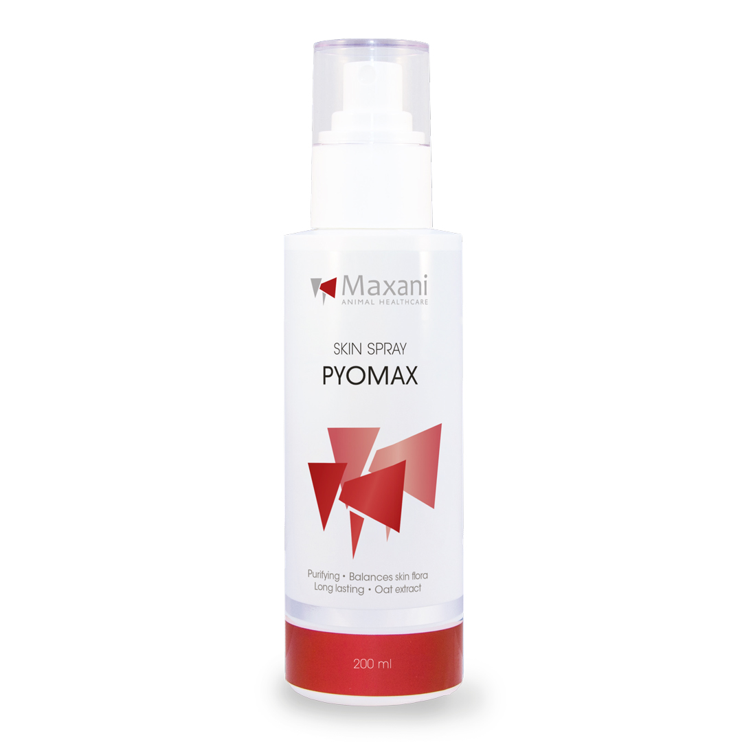 MAXANI PyoMax Skin Spray 200 ml – Spray Dermatologic cu Clorhexidina pentru Curatarea Pielii si Restabilirea Echilibrului Florei Cutanate la Animale
