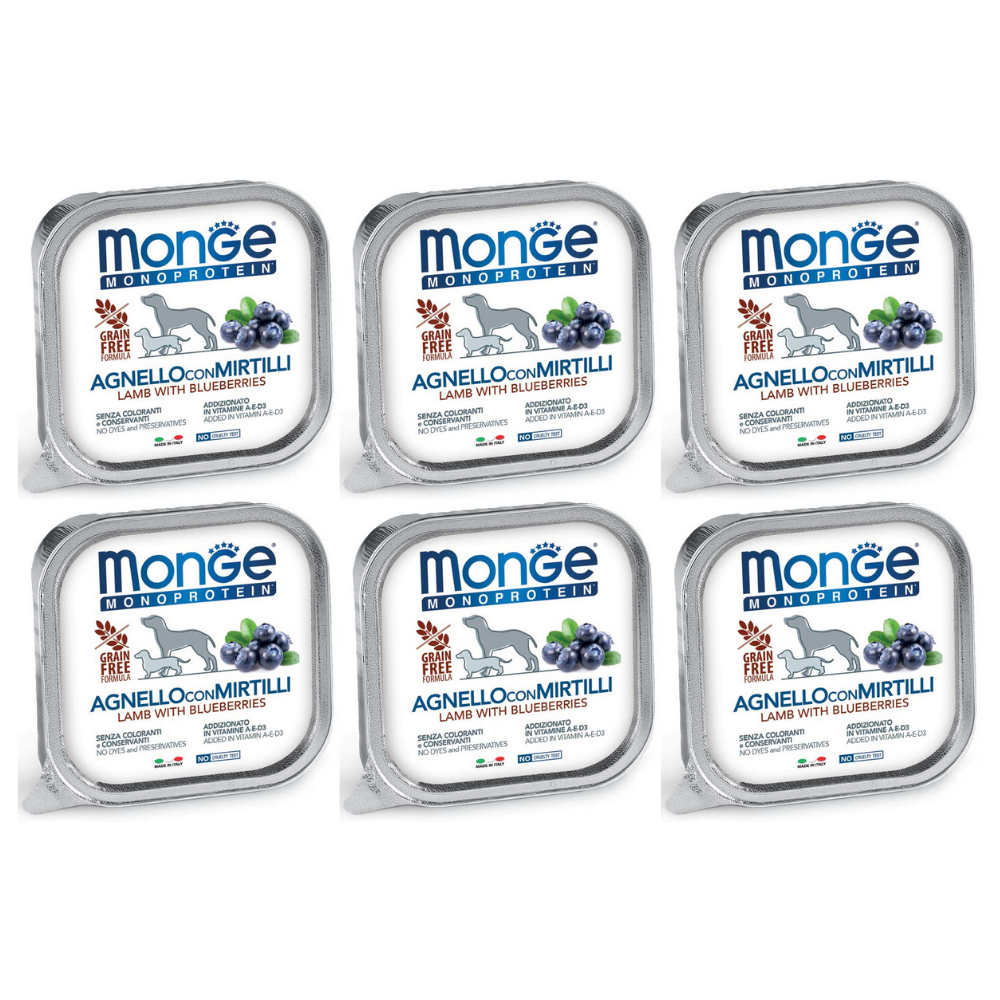 MONGE MONOPROTEIN Grain Free Adult, Miel si Afine, Set Conserve Hrana Umeda Monoproteica, Fara Cereale, Caine (pateu) 6x150g