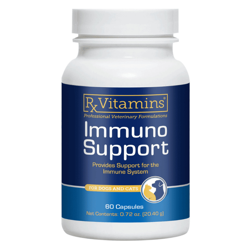 Rx VITAMINS Immuno Support 60 capsule | Supliment pentru Intarirea Sistemului Imunitar la Caini si Pisici
