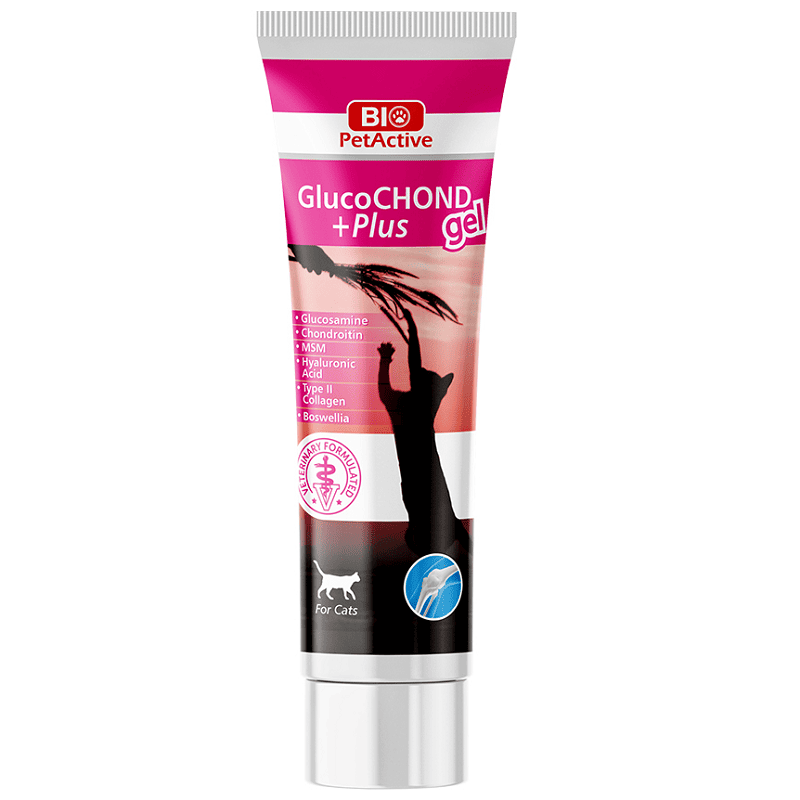 BIO PetActive GlucoChond Plus Gel 100 ml | Supliment Gel pentru Articulatii la Pisici cu Glucosamina, Condroitina si MSM | Suport pentru Mobilitate si Flexibilitate