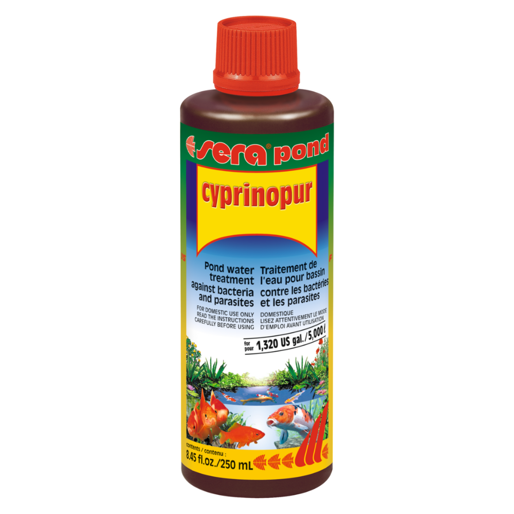SERA Pond Cyprinopur,  Tratament Împotriva Bacteriilor și Paraziților din Iazuri, 250ml
