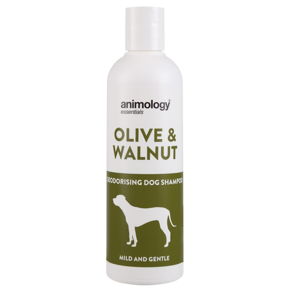 ANIMOLOGY Essentials Masline & Nuci, Sampon Deodorizant cu Masline si Nuci, Pentru Caini cu Orice Tip de Blana 250ml