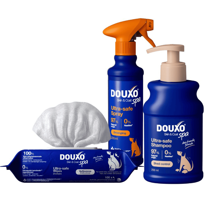 DOUXO SPA Shed Control Pack | Rutina Completa pentru Controlul Caderii Excesive a Parului la Caini | Mai putin par cazut, Mai putin stres