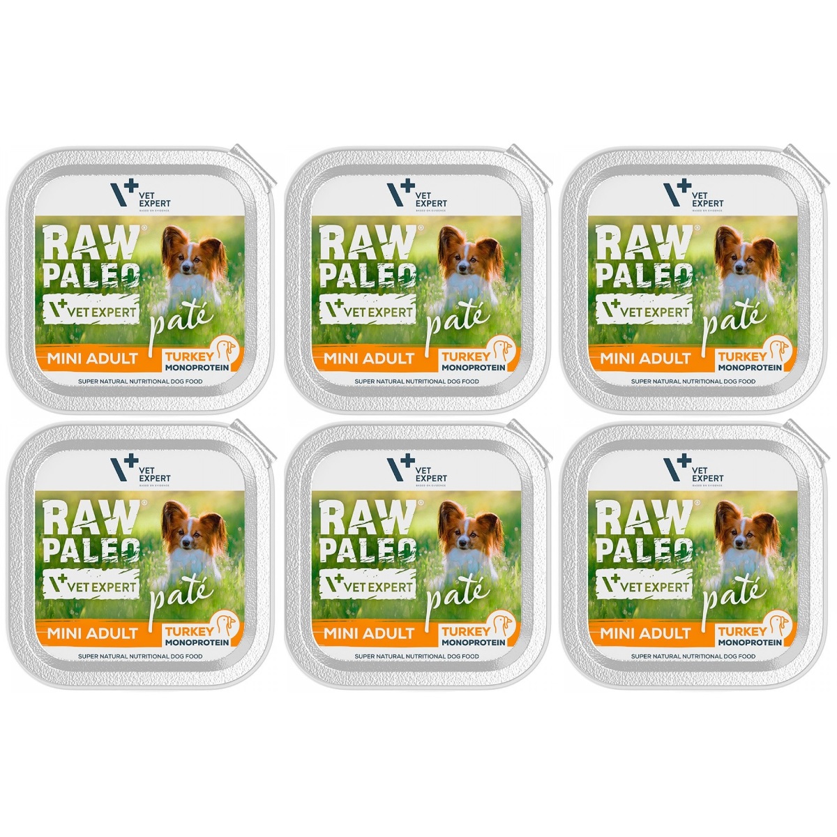 RAW PALEO Pate, cu Curcan, Set Conserve Hrana Umeda Monoproteica Pentru Caini Adulti, 6x150g