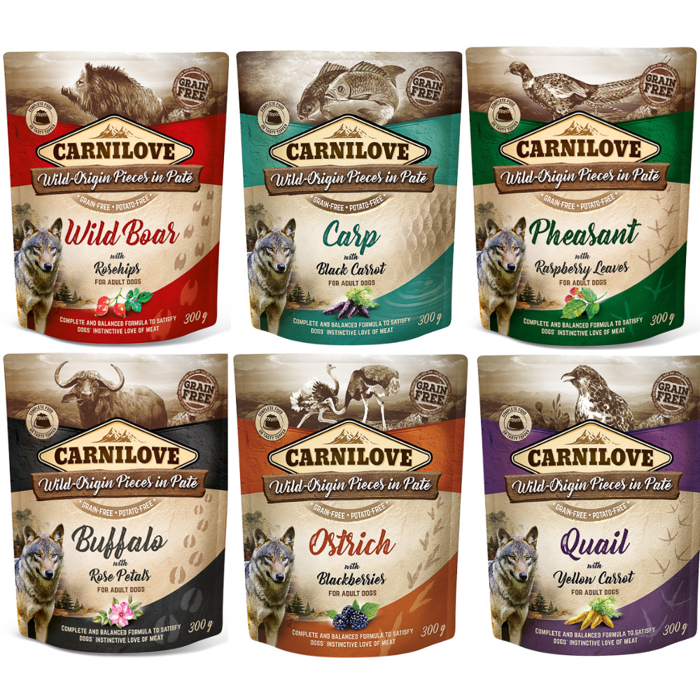 CARNILOVE Dog Pouch Mix Degustare 6×300 g – Hrană Umedă Fără Cereale pentru Câini, Selecție de Rețete Naturale cu Proteine din Ingrediente Atent Selecționate
