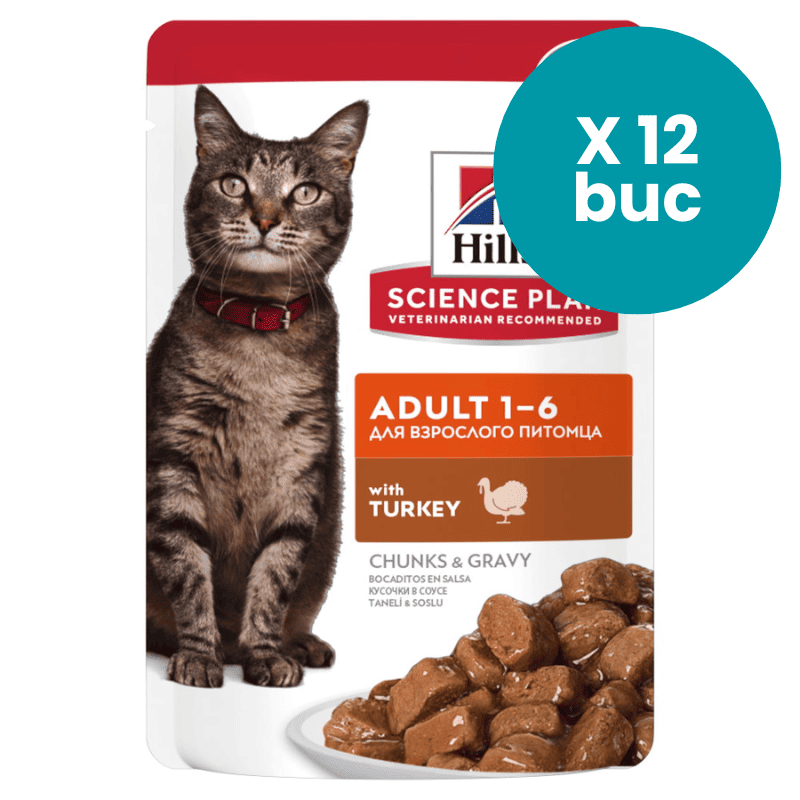 HILL'S Science Plan Adult cu Curcan, Box 12x85 g – Hrană Umedă pentru Pisici Adulte, Suport pentru Rinichi, Inimă și Blană Sănătoasă