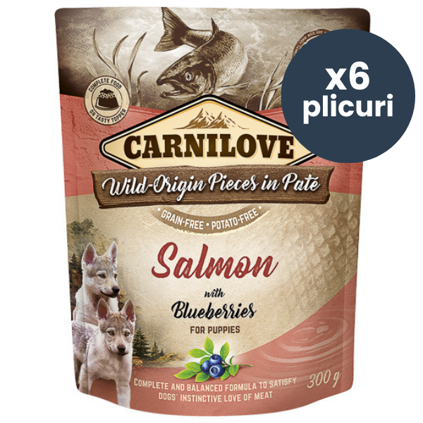 CARNILOVE Dog Pouch Pate Somon cu Afine pentru Pui de Câine Set 6x 300 g – Hrană Umedă Fără Cereale, Creștere Armonioasă și Imunitate Puternică