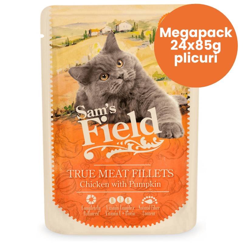SAM'S FIELD Cat Pouch Chicken & Pumpkin Megapack 24x85 g | Hrana Umeda Superpremium pentru Pisici Adulte | Fileuri de Pui si Dovleac | Reteta Naturala pentru Digestie Sanatoasa si Vitalitate