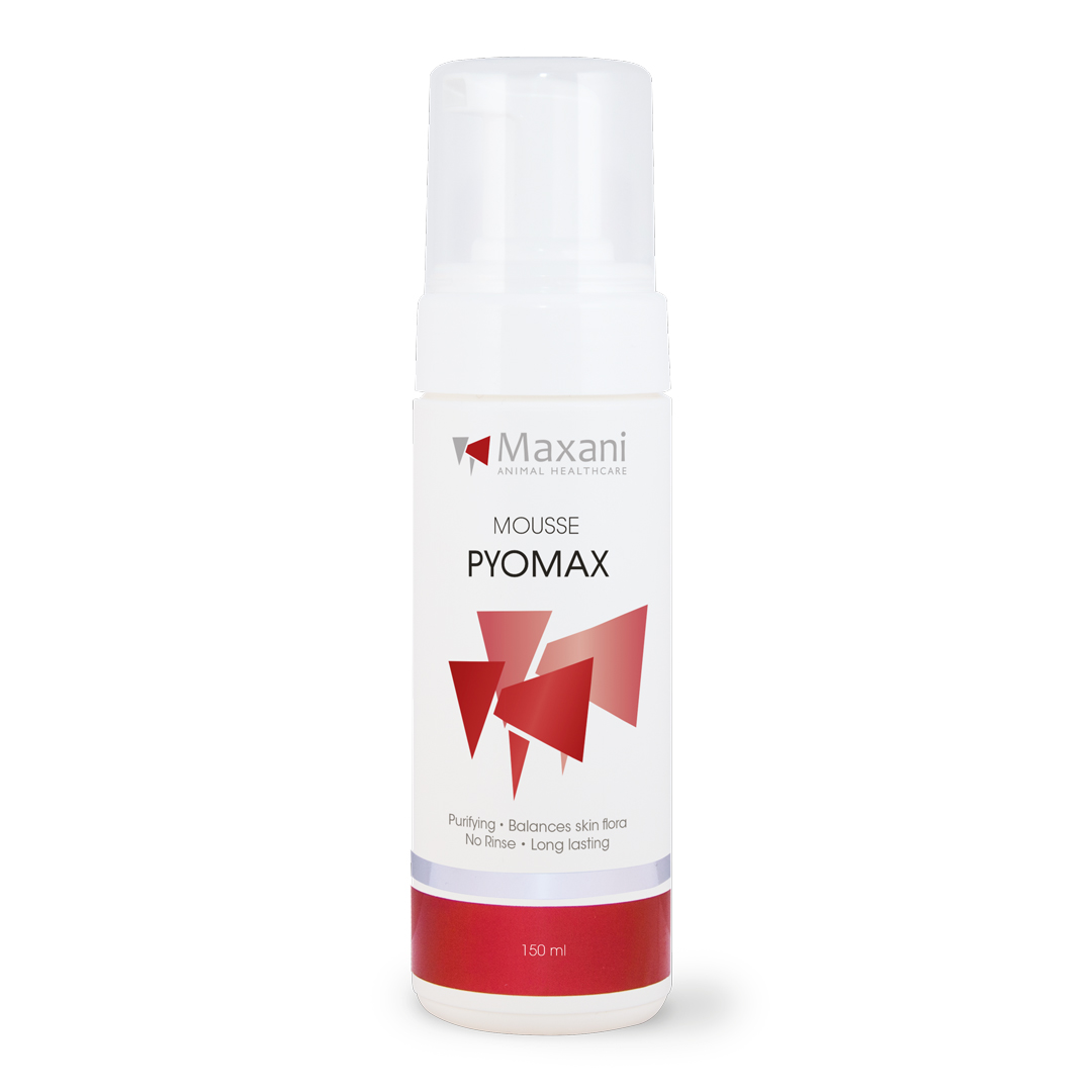 MAXANI PyoMax Mousse 150 ml - Spuma Dermatologica Antiseptica cu Clorhexidina, pentru Igienizarea Pielii si Echilibrul Florei Cutanate la Animale