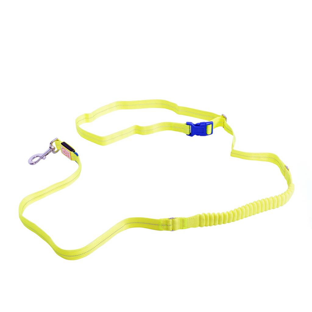 DOUVOPLUS Lesa cu Leduri Pentru Caini, 2m | 25mm