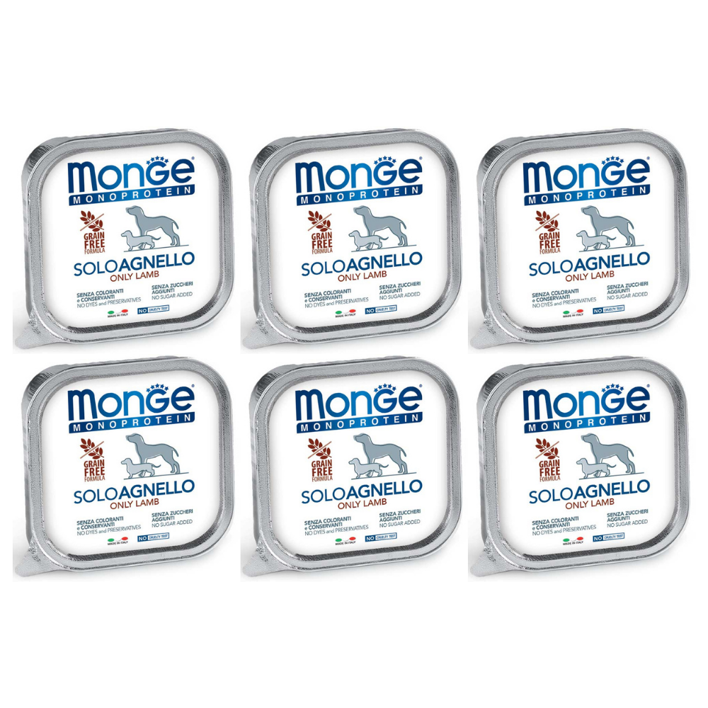 MONGE MONOPROTEIN SOLO Miel, Bax Hrana Umeda Monoproteica, Fara Cereale, Caine, (pateu) 6x150g