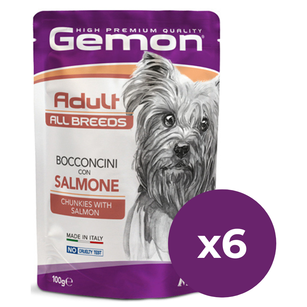 GEMON All Breeds Adult Dog cu Somon – Set Plicuri Hrană Umedă pentru Câini Adulți, (bucăți în aspic), 6x100g