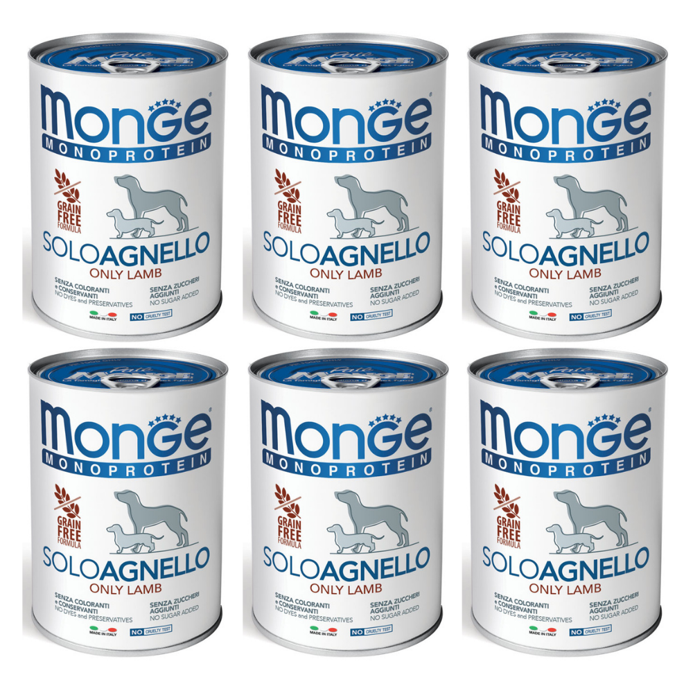 MONGE MONOPROTEIN SOLO Miel, Bax Hrana Umeda Monoproteica, Fara Cereale, Caine, (pateu) 6x400g