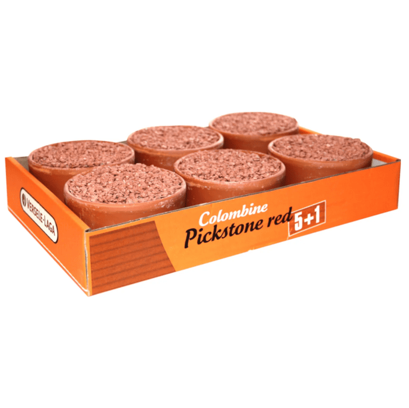 Versele-Laga Colombine Pickstone Red (Tray 5+1)x 650 g| Piatra Minerala de Ciugulit pentru Porumbei