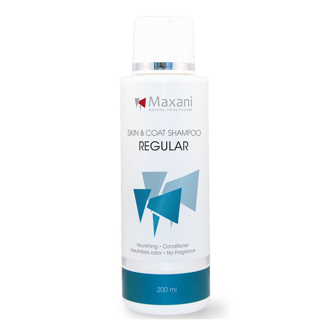 MAXANI Regular Skin & Coat Shampoo 200 ml – Șampon Dermatologic Bland, cu Mușețel și Miere, Fără Parfum, pentru Câini și Pisici cu Piele Normală sau Deshidratată
