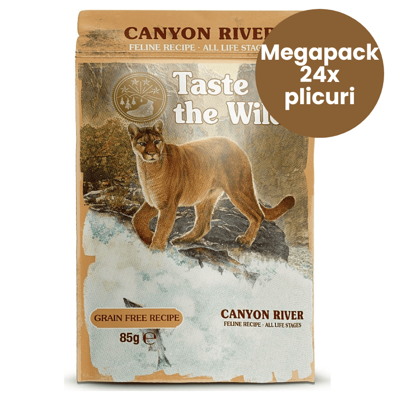 TASTE of the WILD Cat Pouch All Life Stages Canyon River Megapack 24x85 g | Hrana Umeda Fara Cereale pentru Pisici de Toate Varstele | Bucati cu Pastrav, Pui si Curcan in Sos