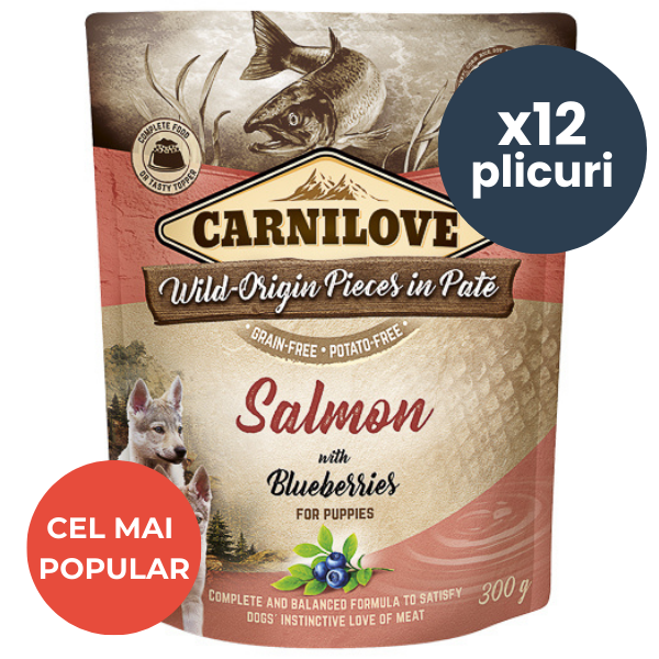 CARNILOVE Dog Pouch Pate Somon cu Afine pentru Pui de Câine Set 12x300 g – Hrană Umedă Fără Cereale, Alegerea Ideală pentru o Creștere Sănătoasă