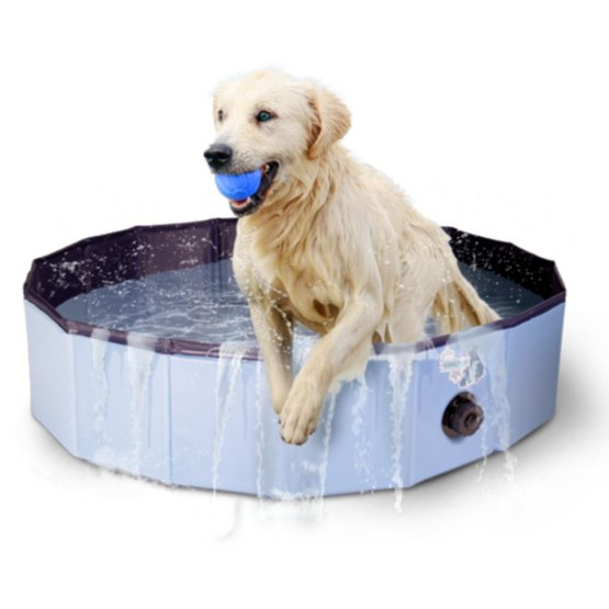 COOL PETS Piscina Pentru Caini 120x30cm