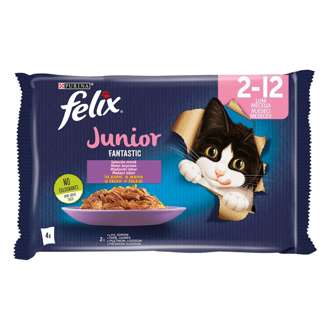FELIX Fantastic Kitten, Multipack Plicuri Hrana Umeda Pentru Pisici Junioare, 4x85g