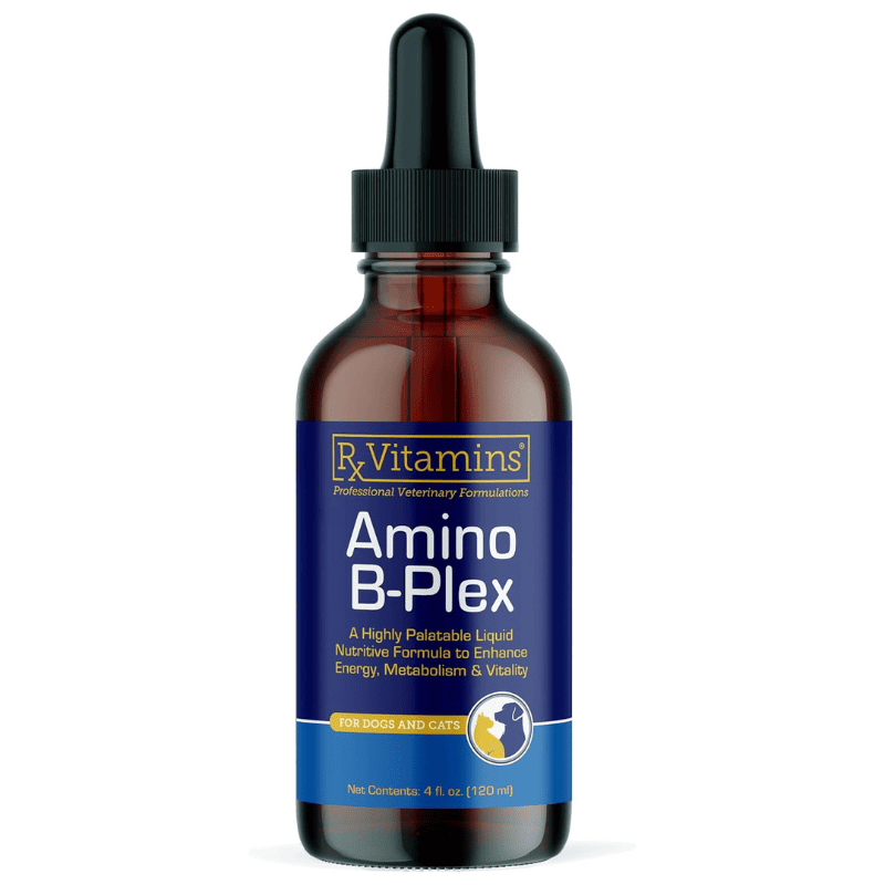 RX VITAMINS Amino B-Plex 120 ml | Supliment pentru Sustinerea Refacerii Organismului si a Vitalitatii la Caini si Pisici