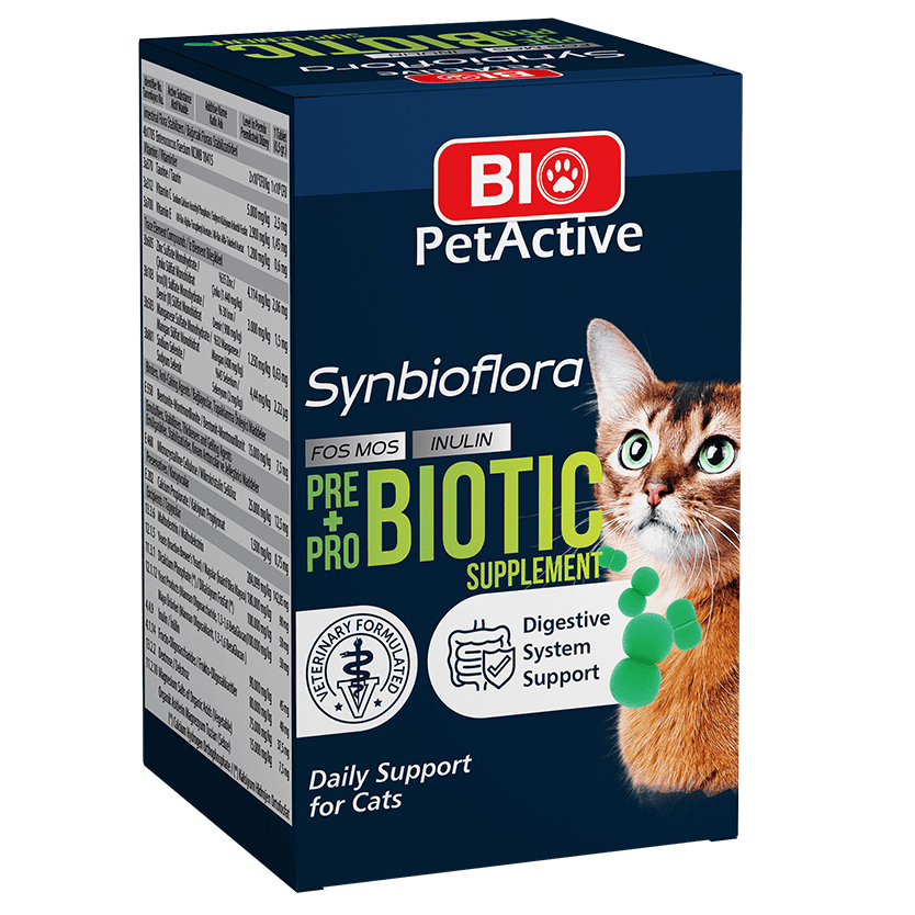 BIO PetActive Synbioflora Pre&Probiotic 60 Tablete | Supliment Prebiotic si Probiotic pentru Pisici | Suport pentru Digestie si Flora Intestinala