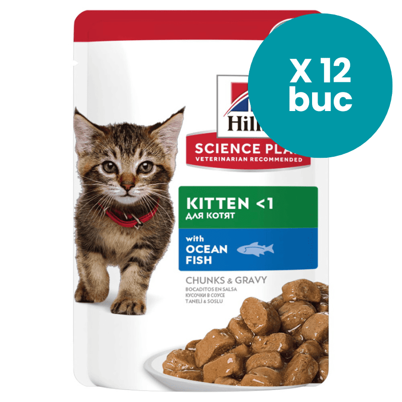 HILL'S Science Plan Kitten cu Pește Oceanic, Box 12x85g – Hrană Umedă pentru Pisoi și Pisici Gestante sau Lactante, Suport pentru Creștere Sănătoasă și Imunitate